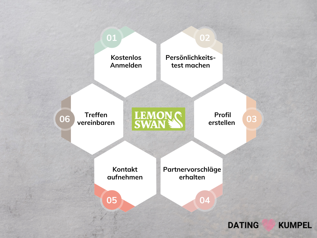 LemonSwan Infografik